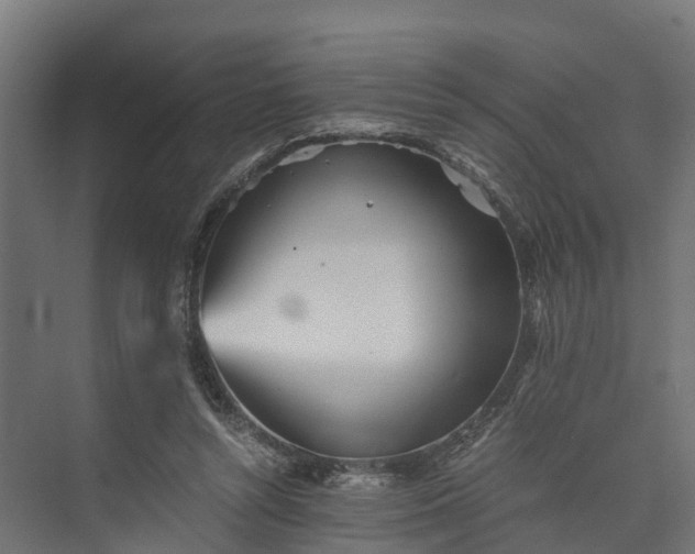 X0000073840352200608171013