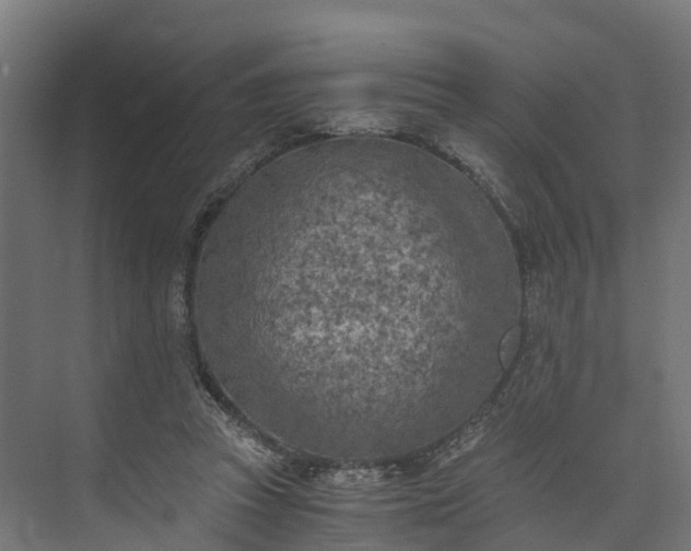 X0000073840353200608171013