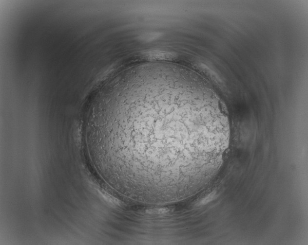 X0000073840357200608171013