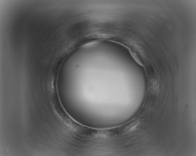 X0000073840358200608171013