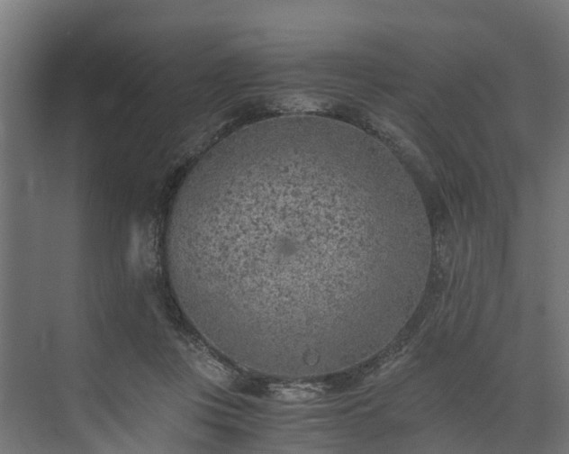 X0000073840359200608171013