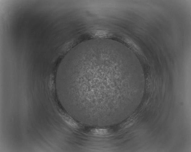 X0000073840361200608171013