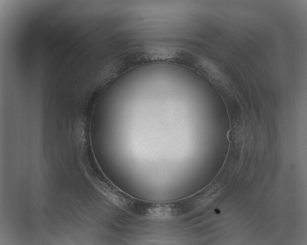 X0000073840362200608171013