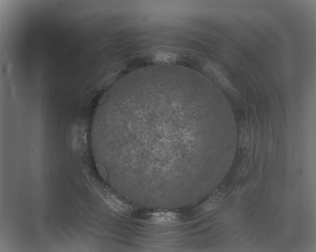 X0000073840363200608171013