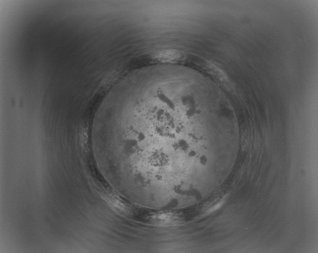 X0000073840365200608171013