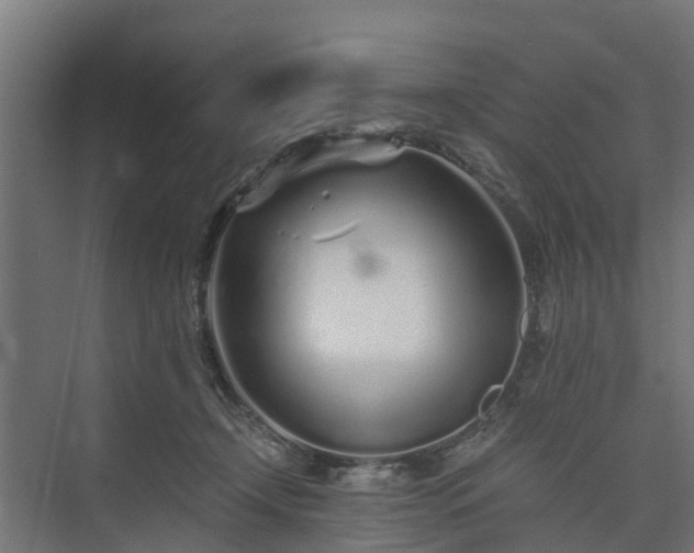 X0000073840366200608171013