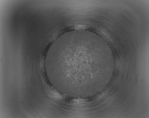 X0000073840367200608171013