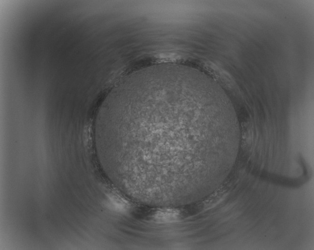 X0000073840369200608171013