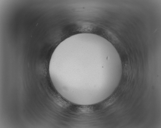 X0000073840370200608171013