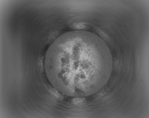 X0000073840373200608171013