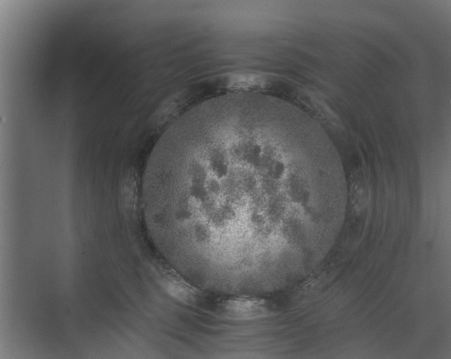 X0000073840375200608171013