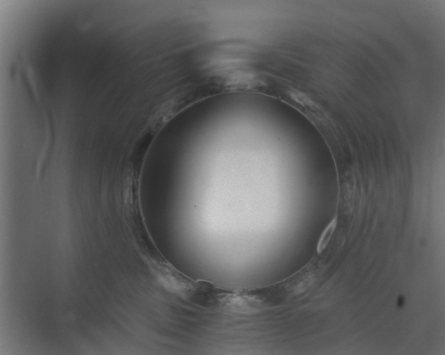 X0000073840379200608171013