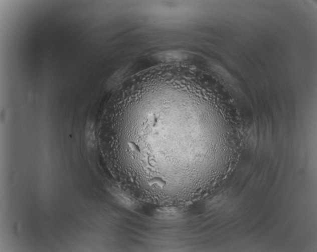 X0000073840381200608171013