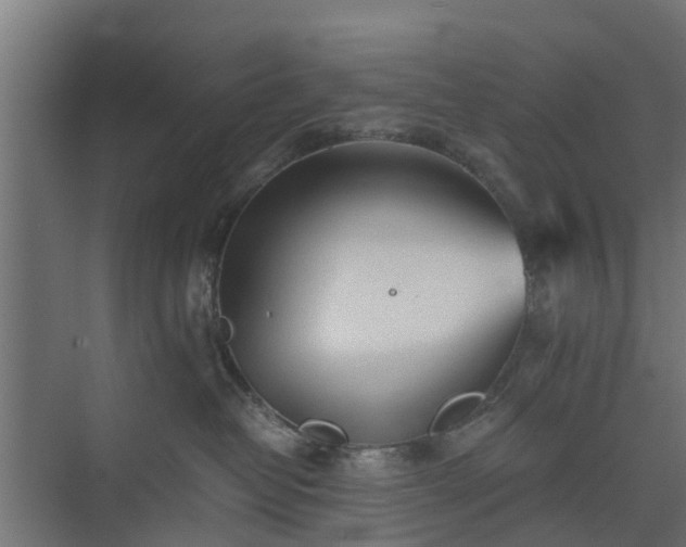 X0000073840382200608171013