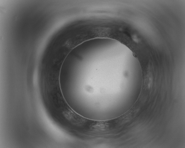 X0000073840383200608171013