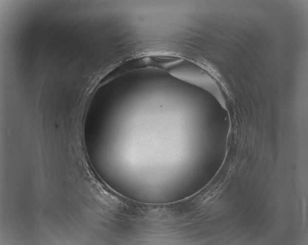 X0000073840385200608171012