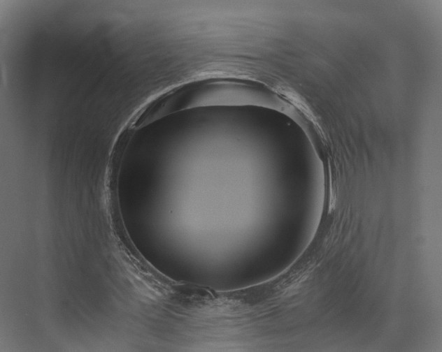 X0000073840387200608171012