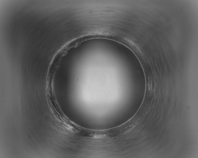 X0000073840388200608171012