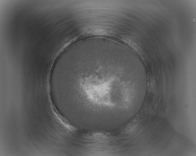 X0000073840390200608171012