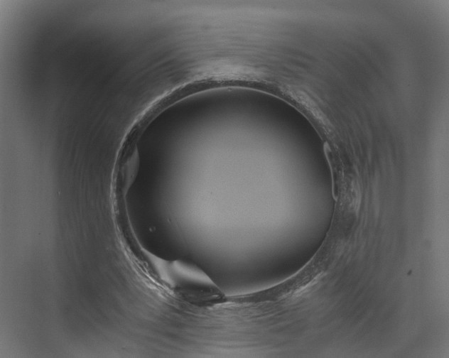 X0000073840391200608171012