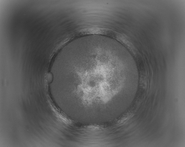 X0000073840394200608171012