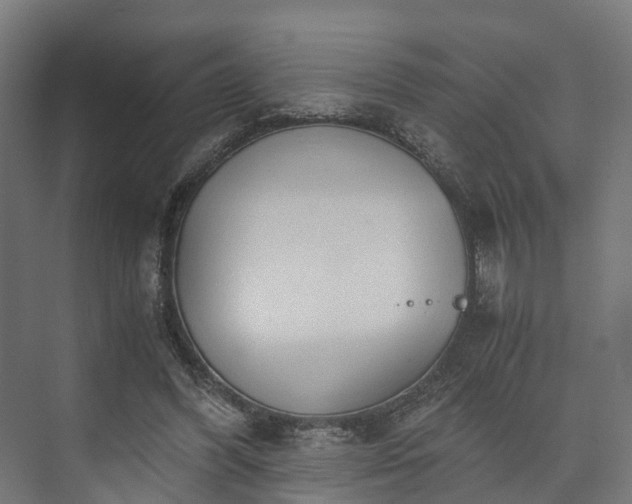 X0000073840396200608171012