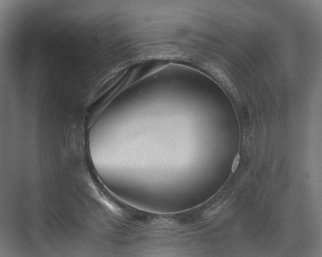 X0000073840397200608171012