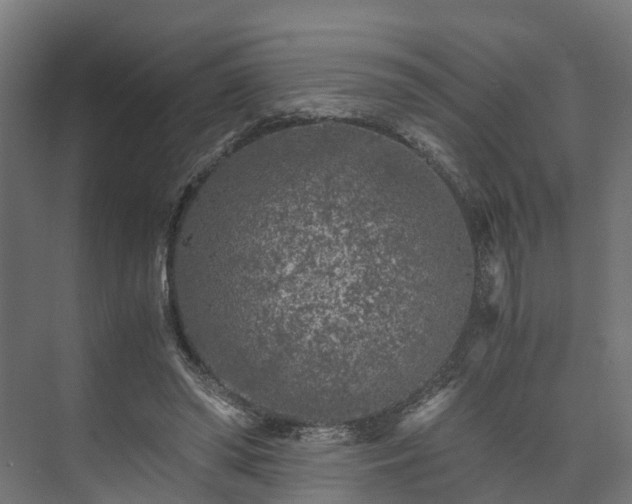 X0000073840398200608171012