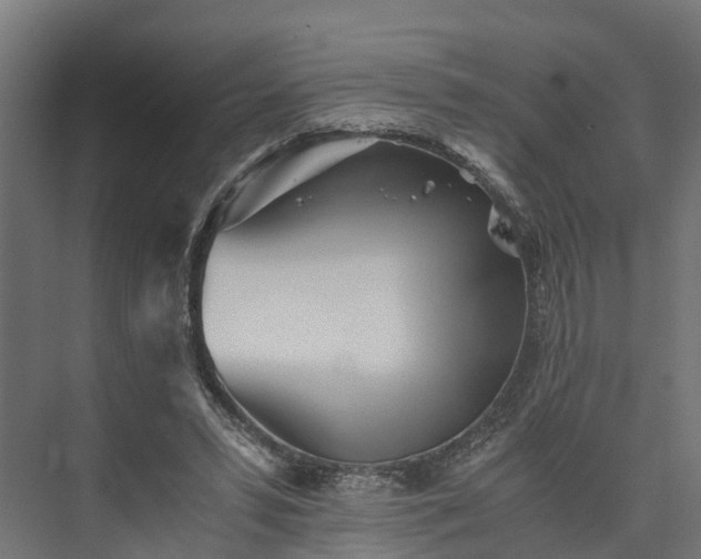 X0000073840399200608171012