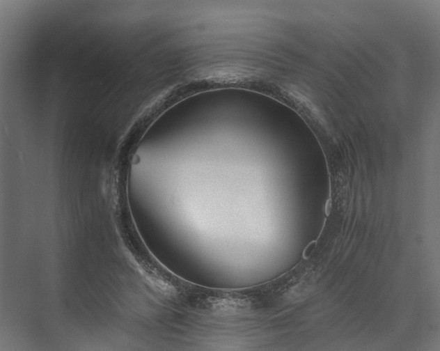 X0000073840400200608171012