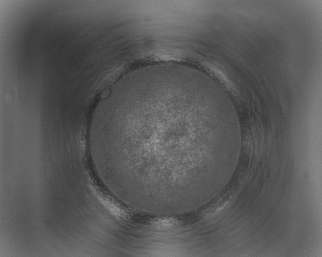 X0000073840402200608171012