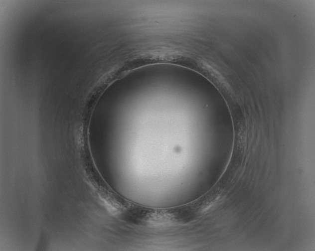 X0000073840403200608171012