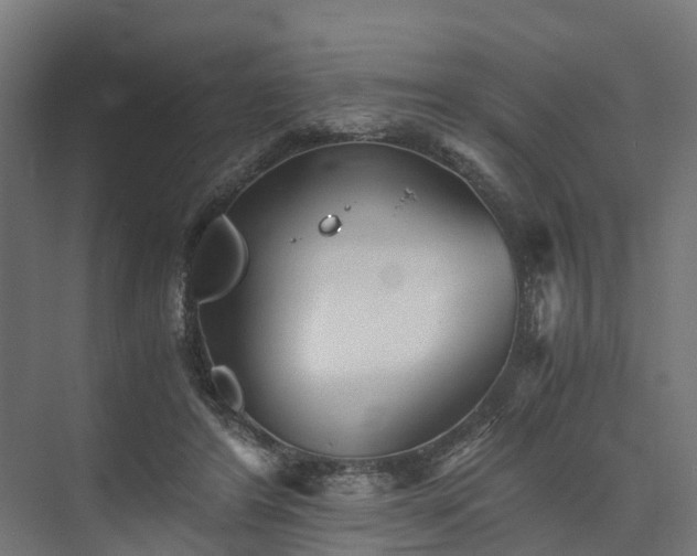 X0000073840404200608171012