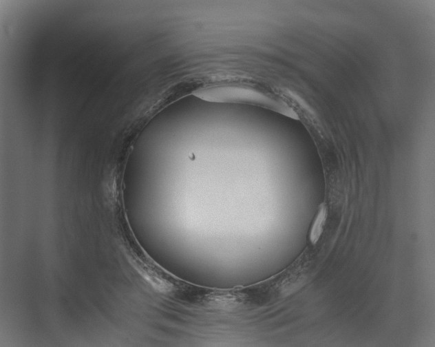 X0000073840405200608171012