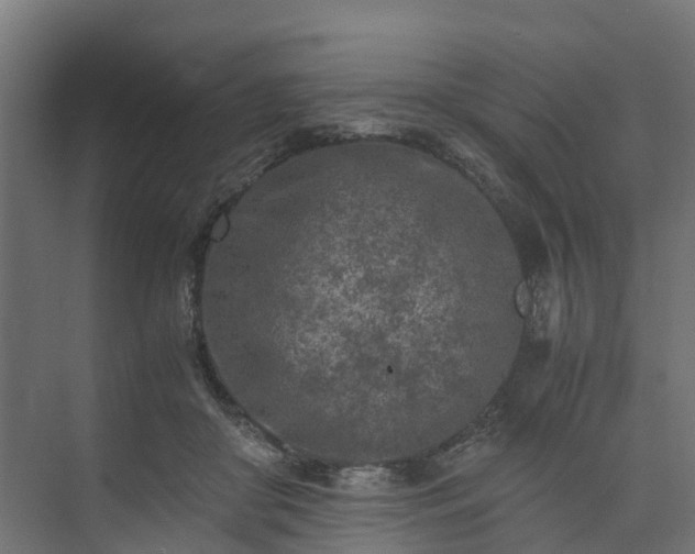 X0000073840410200608171012