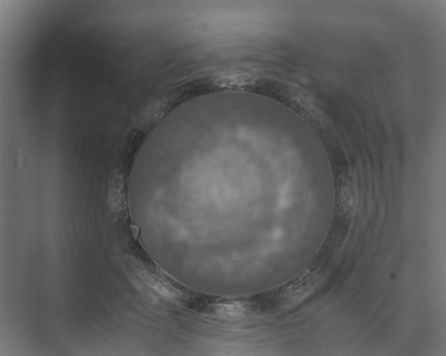 X0000073840411200608171012