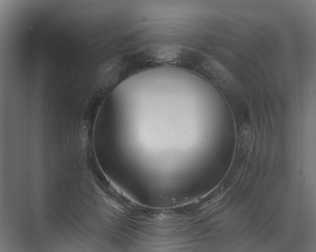 X0000073840412200608171012