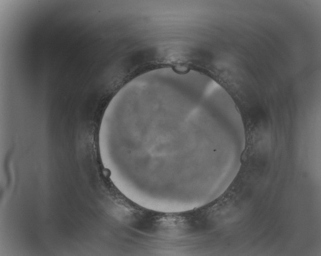 X0000073840415200608171012