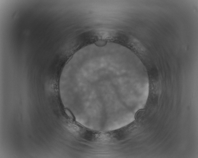 X0000073840419200608171012