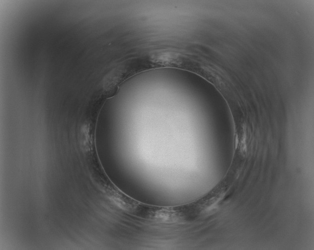 X0000073840420200608171012