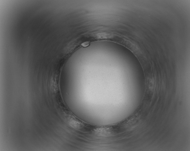 X0000073840422200608171012