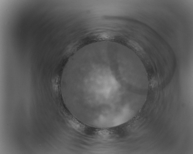 X0000073840423200608171012