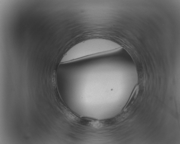 X0000073840425200608171012