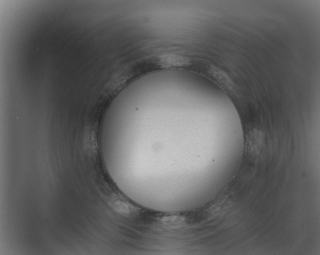 X0000073840426200608171012