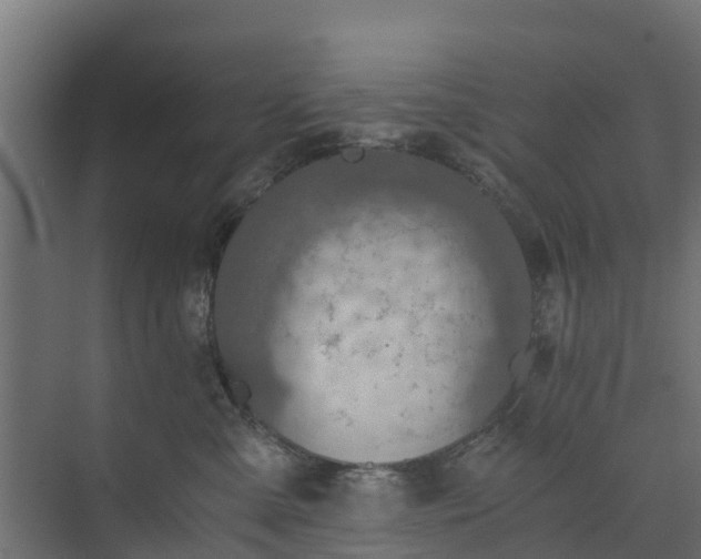 X0000073840427200608171012