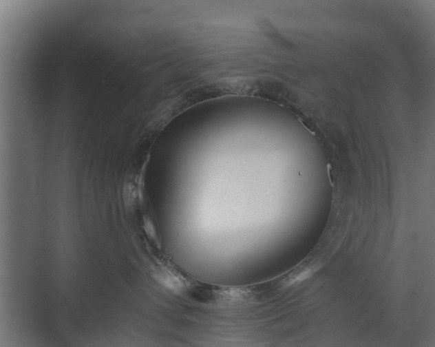 X0000073840432200608171011