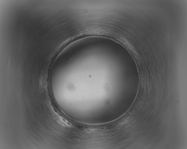 X0000073840434200608171011