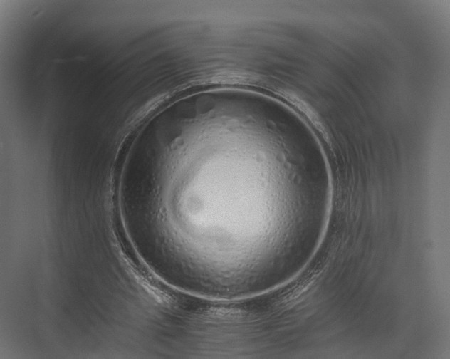 X0000073840437200608171011