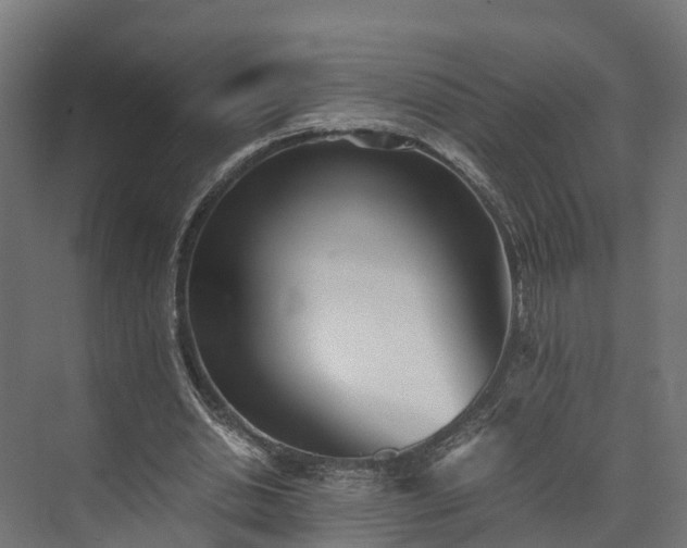 X0000073840438200608171011