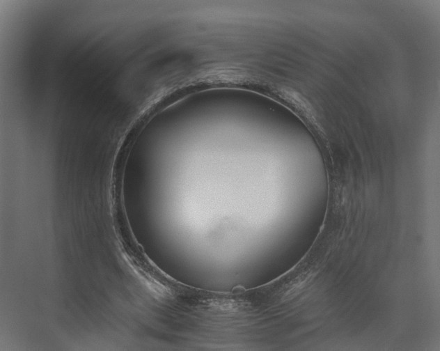 X0000073840439200608171011